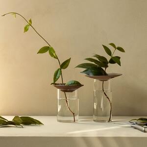 Skleněná váza pro množení rostlin Cresco Propagation - set 2 ks