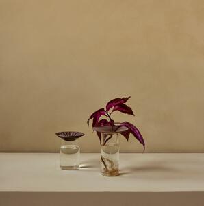 Skleněná váza pro množení rostlin Cresco Propagation - set 2 ks