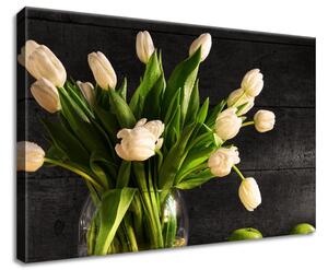 Gario Obraz na plátně Krémové tulipány Velikost: 60 x 50 cm