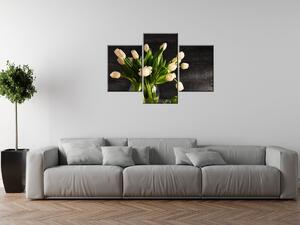 Gario 3 dílný obraz na plátně Krémové tulipány Velikost: 90 x 60 cm