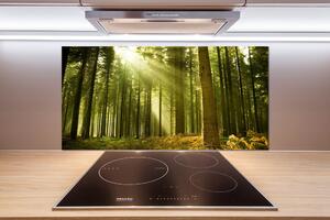 Dekorační panel sklo Sosnový les pl-pksh-100x50-f-10017097