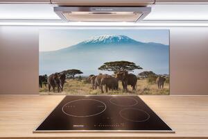 Panel lacobel Sloni Kilimandžaro pl-pksh-100x50-f-100418826