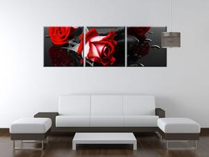 Obraz na plátně Roses and spa - 3 dílný Rozměry: 170 x 50 cm
