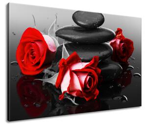 Obraz na plátně Roses and spa Velikost: 120 x 80 cm