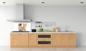 Panel do kuchyně Hnědá a červená kočka pl-pksh-100x50-f-101681955