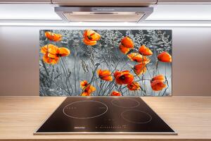 Dekorační panel sklo Polní mák pl-pksh-100x50-f-102051759