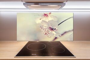 Dekorační panel sklo Květ višně pl-pksh-100x50-f-102906126