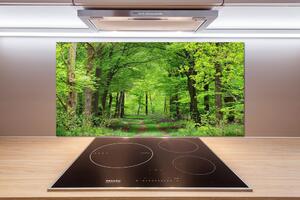 Dekorační panel sklo Jarní les pl-pksh-100x50-f-104709227