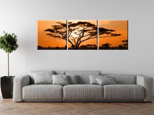 Obraz na plátně Nádherná africká země - 3 dílný Velikost: 90 x 60 cm