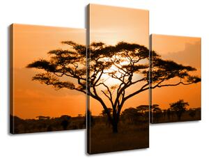 Gario 3 dílný obraz na plátně Nádherná africká země Velikost: 90 x 60 cm