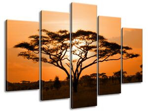 Obraz na plátně Nádherná africká země - 5 dílný Rozměry: 150 x 70 cm