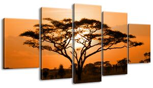 Gario 5 dílný obraz na plátně Nádherná africká země Velikost: 150 x 70 cm