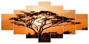 Obraz na plátně Nádherná africká země - 7 dílný Rozměry: 210 x 100 cm