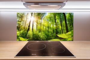 Dekorační panel sklo Les slunce pl-pksh-100x50-f-105833930