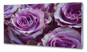 Panel do kuchyně Fialové růže pl-pksh-140x70-f-106010688