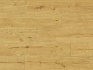 Lepená vinylová podlaha Dryback Nuva Eternal - Vibrant Oak Brown