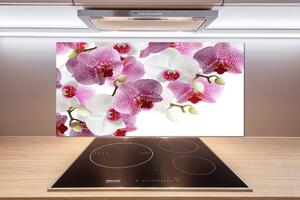 Skleněný panel do kuchynské linky Orchidej pl-pksh-100x50-f-107506962