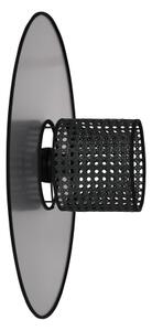 Duolla - Nástěnné svítidlo TOKYO RATTAN 1xE27/15W/230V pr. 50 cm stříbrná/černá