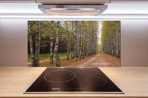 Dekorační panel sklo Alej bříz pl-pksh-100x50-f-111097387