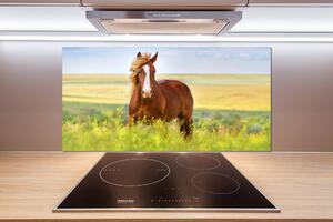 Dekorační panel sklo Hnědý kůň pl-pksh-100x50-f-111439137