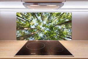 Dekorační panel sklo Koruna stromů pl-pksh-100x50-f-119047799