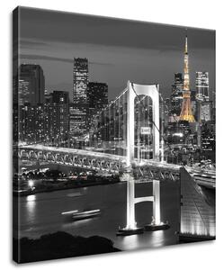 Obraz na plátně Most Tokyo Bay Rozměry: 40 x 60 cm