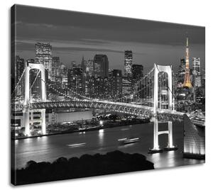Obraz na plátně Most Tokyo Bay Rozměry: 60 x 90 cm