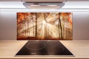 Panel lacobel Mlha v lese podzim pl-pksh-100x50-f-119225469