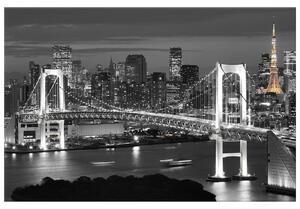 Obraz na plátně Most Tokyo Bay Rozměry: 40 x 60 cm
