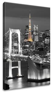 Obraz na plátně Most Tokyo Bay Velikost: 40 x 60 cm