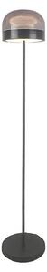 Rabalux 74038 - LED Stm. stojací lampa XELIRA LED/20W/230V 3000/4000/6000K