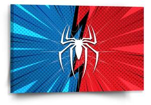 Sablio Obraz Spider - 60x40 cm