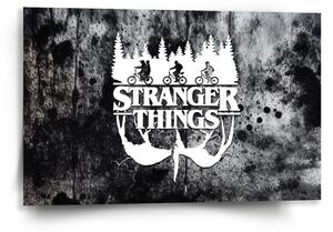 Sablio Obraz Stranger Things White - 60x40 cm