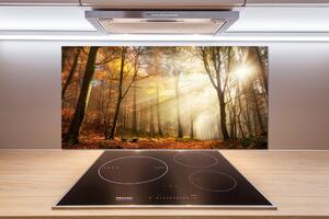 Dekorační panel sklo Mlha v lese pl-pksh-100x50-f-120624836