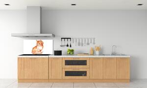 Skleněný panel do kuchynské linky Červená kočka pl-pksh-100x50-f-120895228