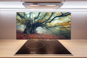 Dekorační panel sklo Starý strom pl-pksh-100x50-f-121105472