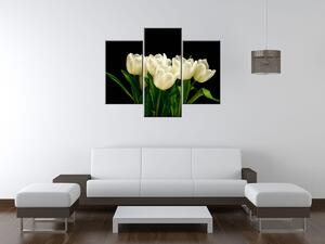Obraz na plátně Bílé tulipány, Mark Freeth - 3 dílný Velikost: 90 x 30 cm