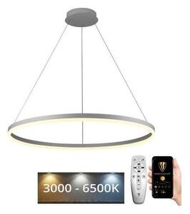 Brilagi - LED Stmívatelný lustr na lanku CIRCLE LED/55W/230V 3000-6500K + DO