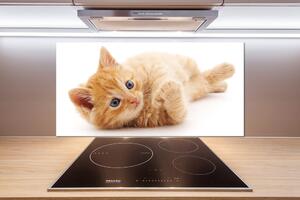 Skleněný panel do kuchynské linky Červená kočka pl-pksh-100x50-f-126034635
