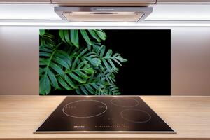Skleněný panel do kuchynské linky Monstera pl-pksh-100x50-f-136056099