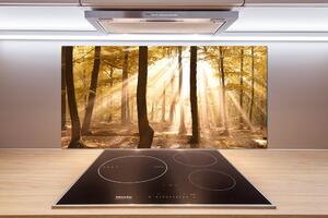 Dekorační panel sklo Podzimní les pl-pksh-100x50-f-140215873