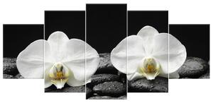 Gario 5 dílný obraz na plátně Bílá orchidej a černý kámen Velikost: 150 x 70 cm