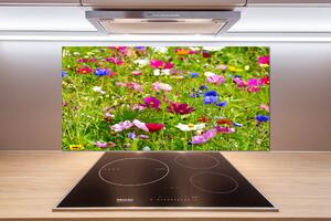 Dekorační panel sklo Plolní květiny pl-pksh-100x50-f-169402975