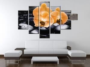 Gario 5 dílný obraz na plátně Krásná oranžová orchidej Velikost: 125 x 70 cm