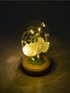 Sinsay - Dekorační LED lampa s květinou ve skleněném krytu - bílá