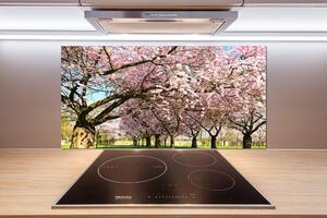 Dekorační panel sklo Višně pl-pksh-100x50-f-48048781