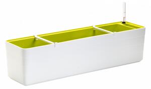 Samozavlažovací truhlík PLASTIA BERBERIS 80 cm bílá + zelená