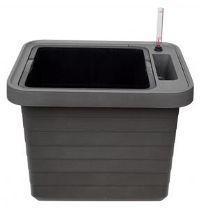 Samozavlažovací truhlík PLASTIA BERBERIS UNO 45x39x35 antracit