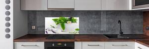 Panel do kuchyně Hmoždíř a bylinky pl-pksh-100x50-f-55313221