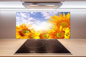 Dekorační panel sklo Slunečníky pl-pksh-100x50-f-55529240
